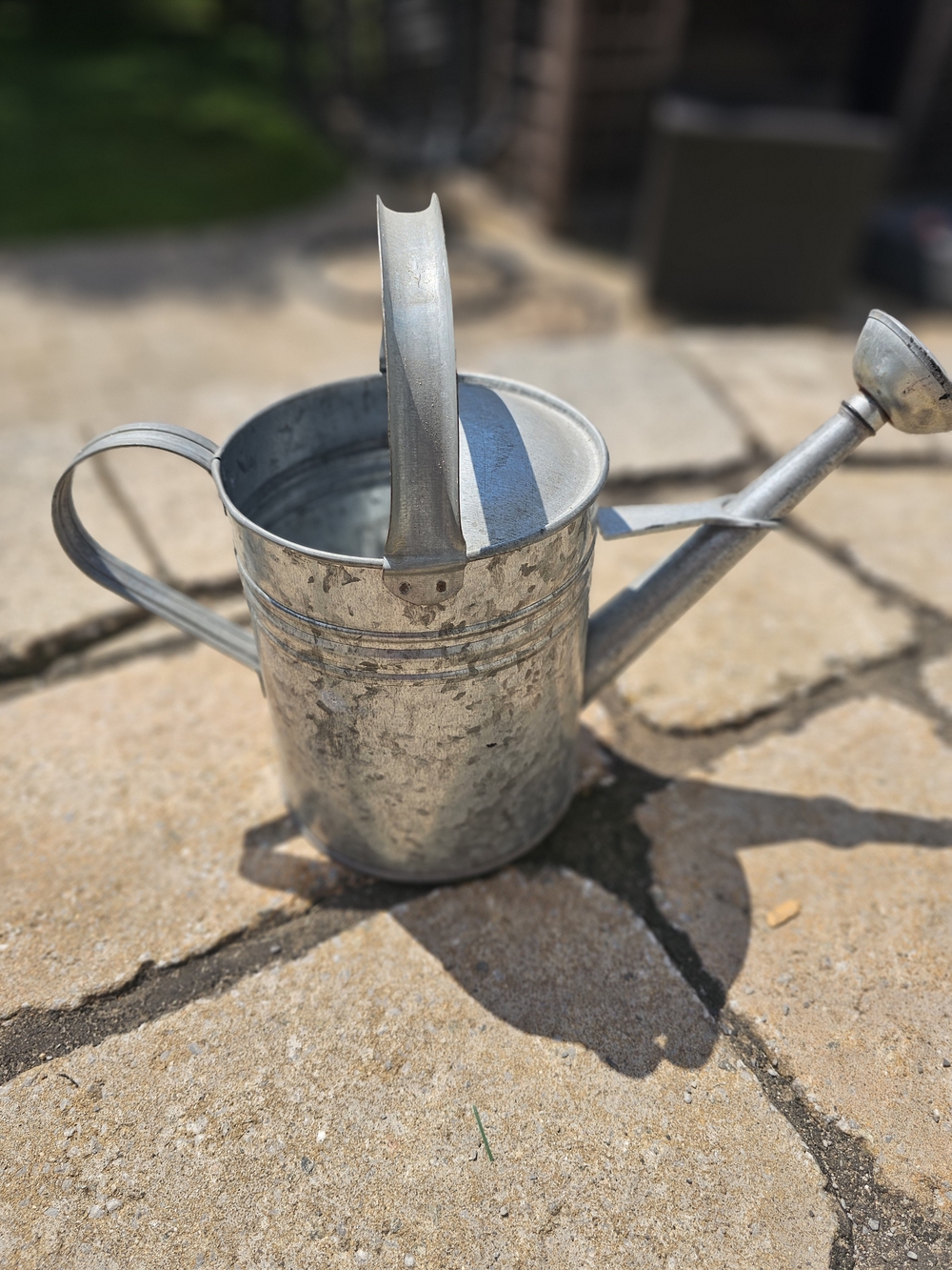 Galvanized Metal Watering Can - Silver